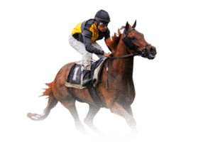 horsebook inr 03 300x200